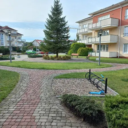 Sloneczny Baltyk-grzybowo Rowery W Cenie * 格里兹鲍